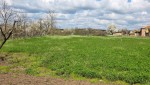 Продава ПАРЦЕЛ област Добрич, с. Царевец