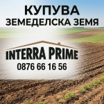 КУПУВА ЗЕМЕДЕЛСКА ЗЕМЯ – с. Полковник Свещарово, ОБЛАСТ ДОБРИЧ